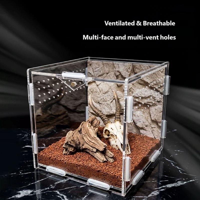 Klare Lebensraumbox für kleine Reptilien Tiere, Beobachtungsfenster Acrylgehege Belüftetes Design mit seitlichen und oberen Luftöffnungen