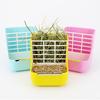 2-in-1 Hay Feeder for Small Pets - Plastic Rabbit Hay Feeder, Suitable for Rabbits, Guinea Pigs, Chinchillas