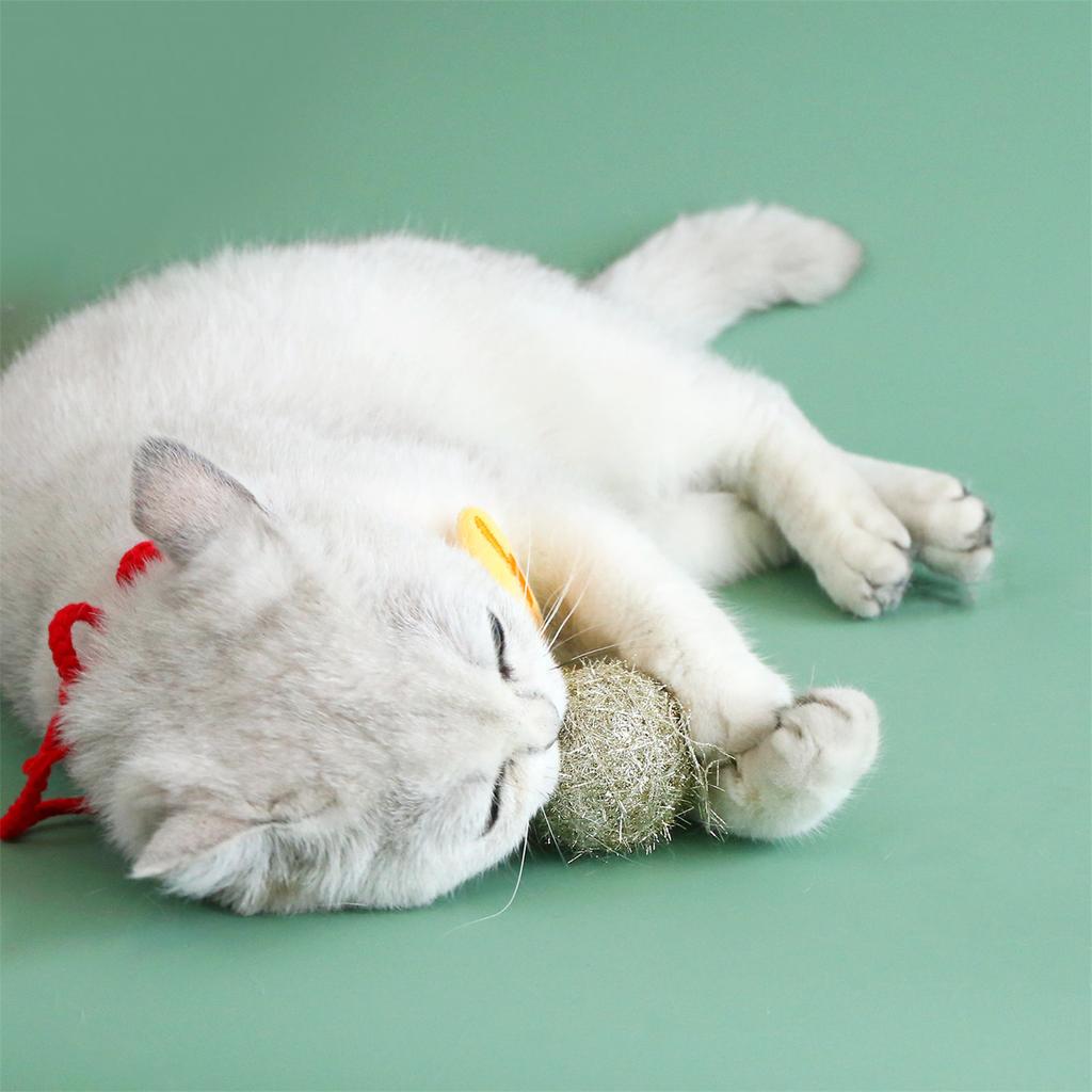 Weihnachts Katze Teaser Bälle Spielzeug Lustige Knisternde Fellbälle Pompoms Schöne Mini Weihnachtsmütze Spielzeug Ersatzteile