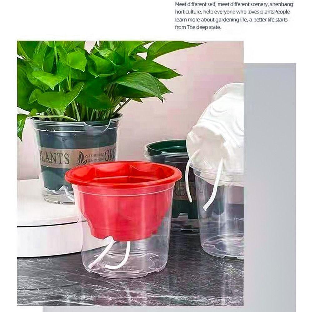Succulent Self Watering Planter Pots Lazy Lazy Flower Pot Self-watering Potted  Home Decor