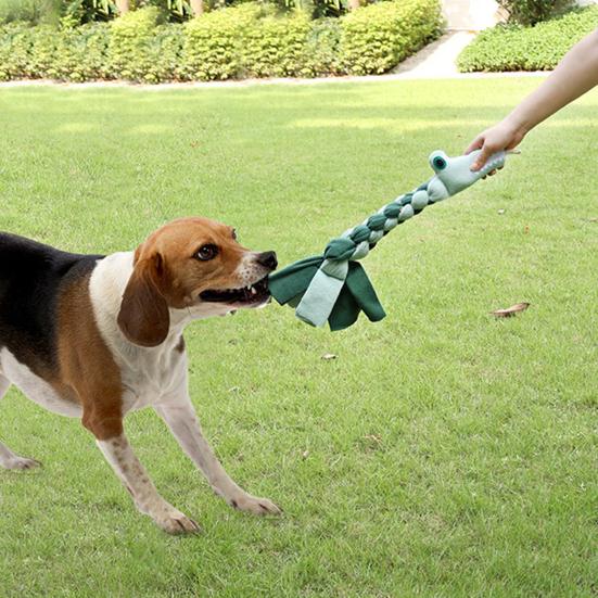 Hračka Lano Odolné proti kousání Uvolnění úzkosti Interaktivní Čištění zubů Psí molární hračka Mazlíček