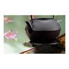 Iron kettle, ironware, Nanbu ironware, teapot, kettle, IH open flame compatible, iron bottle, iron teapot, kettle, tea strainer included, stylish,