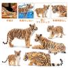 TOYMANY 6-Piece Tiger Figure Set, Animal Figures, Tiger Toys, Wild Animal Models, Parent-Child Friendly, Home Decor, Realistic Models, Popular Toys,