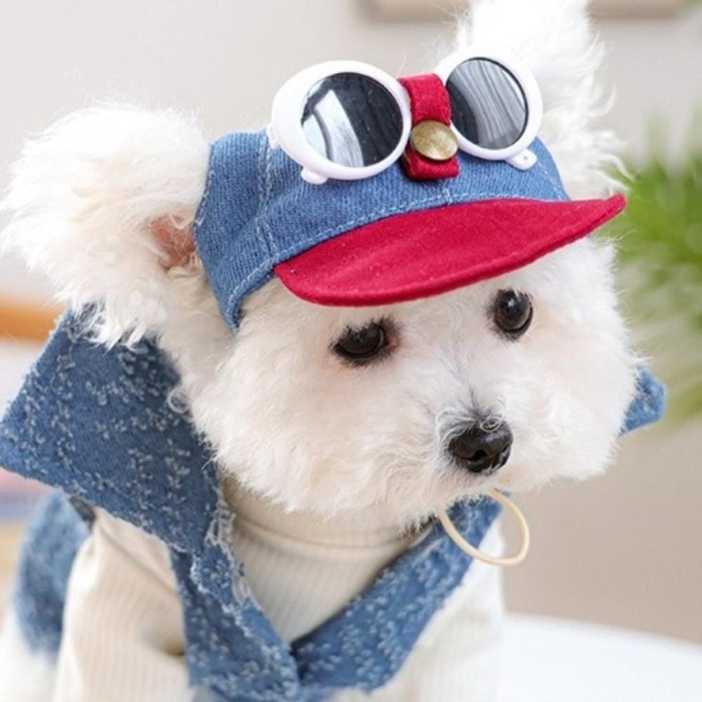 Denim Cap Dog Visor Hats Korean Style Dog Sports Hat Pet Sun Protection Hats  Photo Props