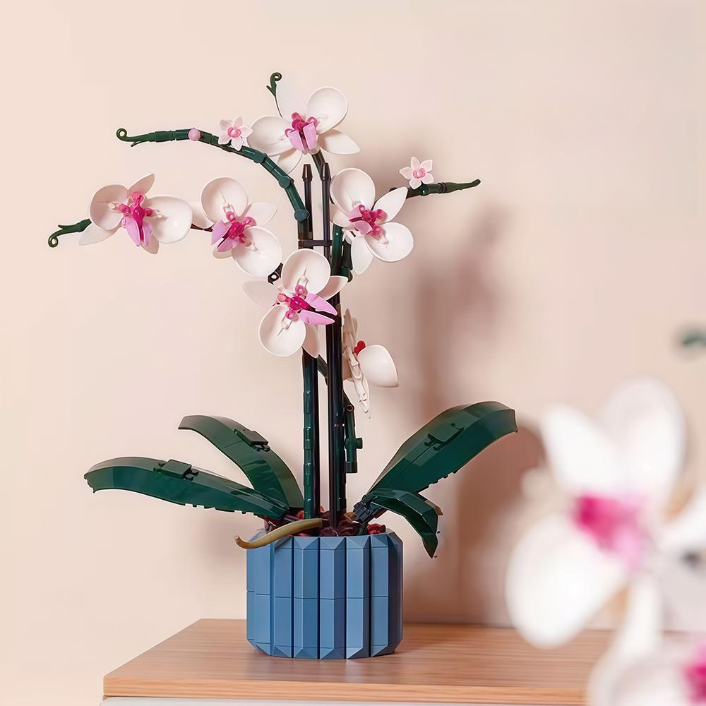 Phalaenopsis Baustein-Set für Kinder - Lustige Simulation einer blühenden Topfpflanze, Ideal zur Dekoration von Zimmern & Geschenke für Mädchen