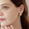 Classy Duo Earrings