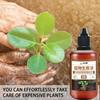 1/2/3/4/5Pcs Fertilizer for Plants Seedling Activator Boost Plant Growth Trees Rooting Powder for Cuttings Hormone Growing Root