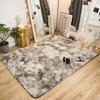 Nordic Ins Wind Tie-dye Gradual Change Silk Plush PV Plush Living Room Coffee Table Mattress Bedside Bedroom Dining Room Carpet