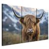 Decoración para el hogar
 – Pinturas y posters