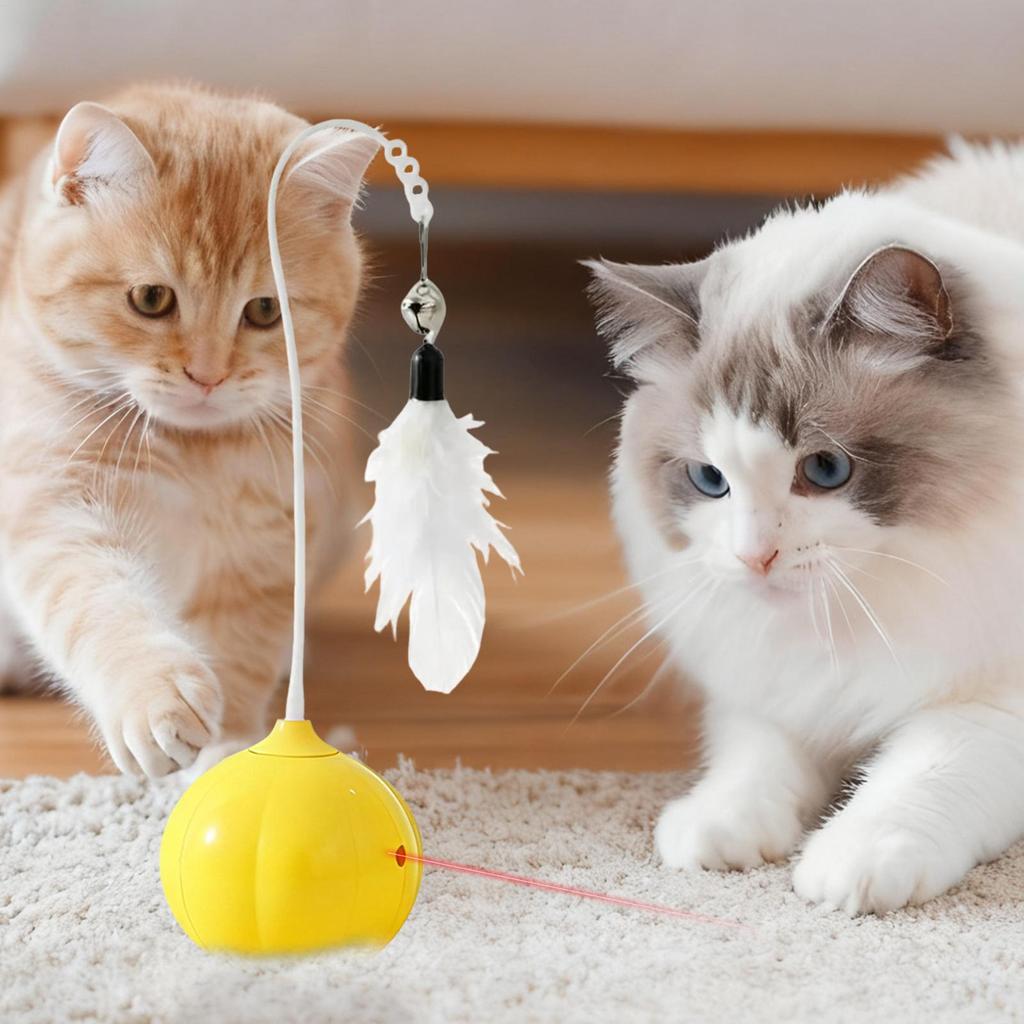 Interactief Kattenspeelgoed Huisdier Oefening Prikker Stokje Aanraakgevoelig Kittenspeelgoed Voor Kleine Middelgrote Kittens Binnen Buiten Tuinen Veranda's