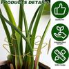 4pcs Climbing Plants Supports for Indoor Plant Support Metal Reusable Stabilizer Decorative for Flower Pot Landscaping Project