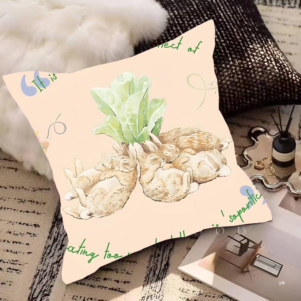 

Child Enlightenment Hand Drawn P-Peter Rabbit Pillow Case Square Pillow Bedroom Sofa Leisure Comfort Cushion Car Home Decoration 16x16Inch