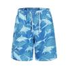 Men's Quick-Dry Beach Shorts - Summer Swimwear, Mid-Length, Unisex Design