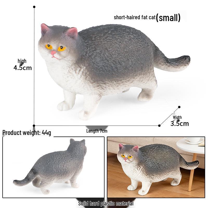 Solid Orange Persian, Ragdoll, Somali, and Blue Short-haired Cat Simulation Models