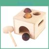 Wooden Early Education Toy With Mallet For Toddler Learning And Development