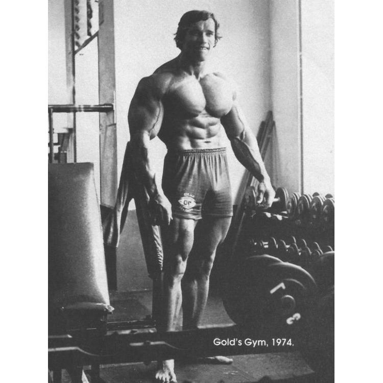 Arnold Schwarzenegger bodybuilding photo poster 75x100 чёрный