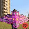 110Cm Flying Kite Colorful Cartoon Owl With Kite Line Kids Outdoor Toy