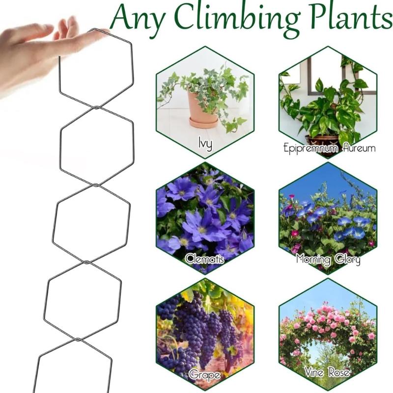 Decorative Hexagonal Chain Trellis Fit for Climbing Veggies Flower Plant Vertical Garden Wall Support Indoor Outdoor Use