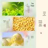 Yami Hebei Specialty Tea Snack Box