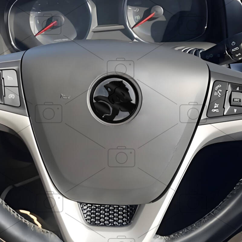 Car Metal Body Lion HSV Logo Decals Grille Badge Trunk Emblems Sticker For Holden Maloo R8 Commodore Cruze Astra Accessories
