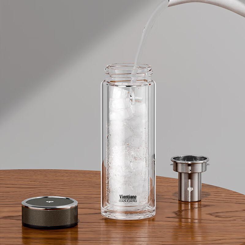 Double-Walled Glass Tea Infuser Bottle