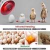 2pcs 250W Heat Lamp Red Light for Piglets Baby Chicken and Small Animals with E26 Base