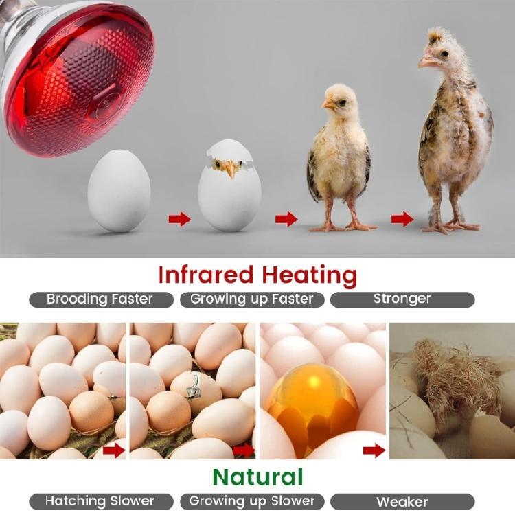 2pcs 250W Heat Lamp Red Light for Piglets Baby Chicken and Small Animals with E26 Base