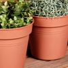 3x Brown Plastic Garden Pot for Plants, Flowers, Herbs 17x15.5 cm