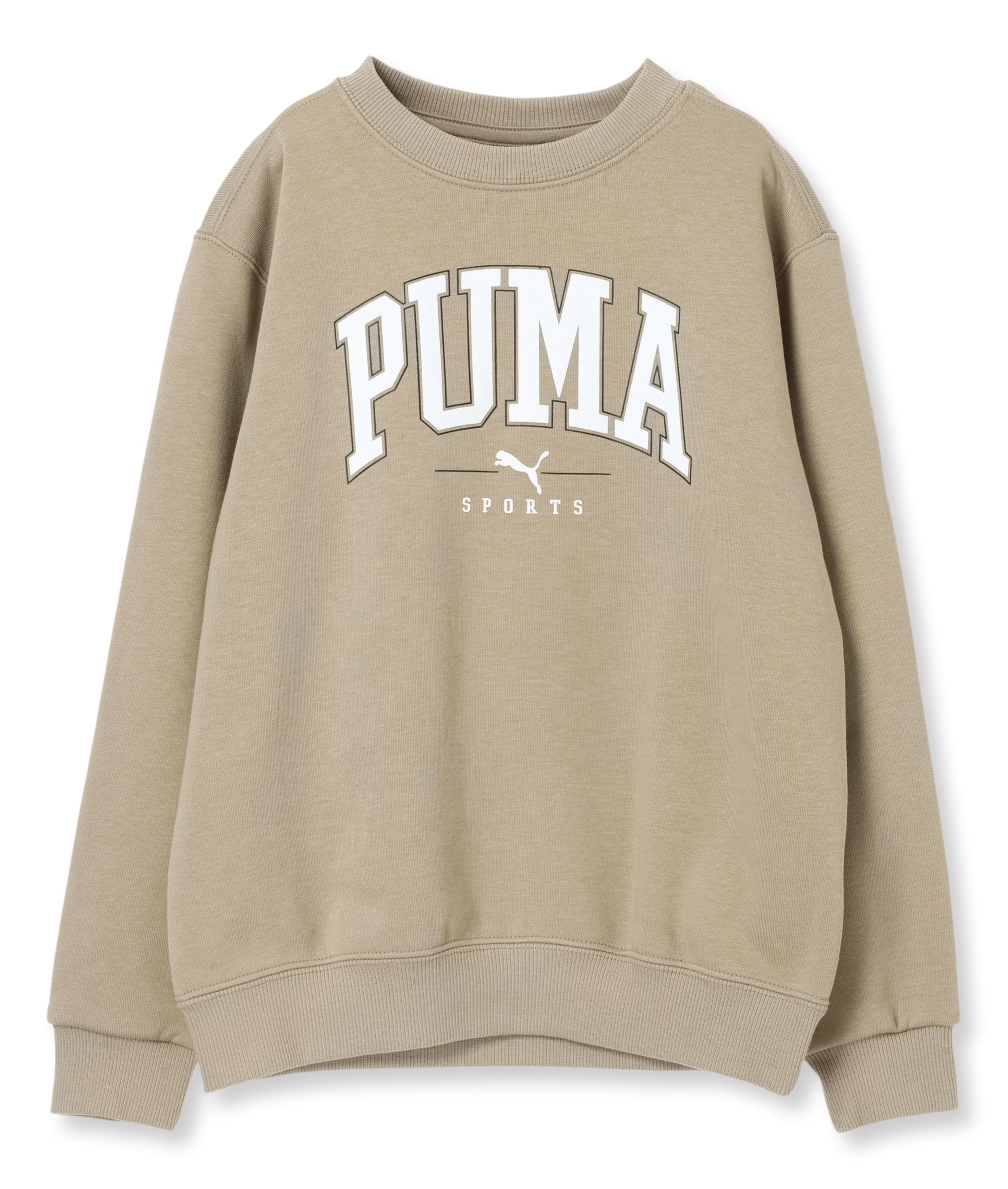 PUMA SQUAD Crew Casual and Athletic Hoodie with Fleece FL 2024 Oak Branch Sweatshirt, Lining, 684060, Boys, Fall/Winter Color, (67)