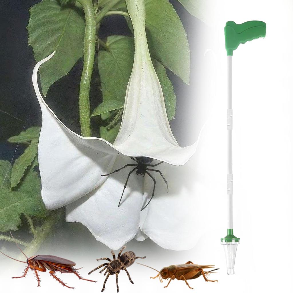 Long Handle Spider Catcher Handheld Humane Small Animals Quick Capture Tool for Balcony Yard Porch Patio Garden Outdoor