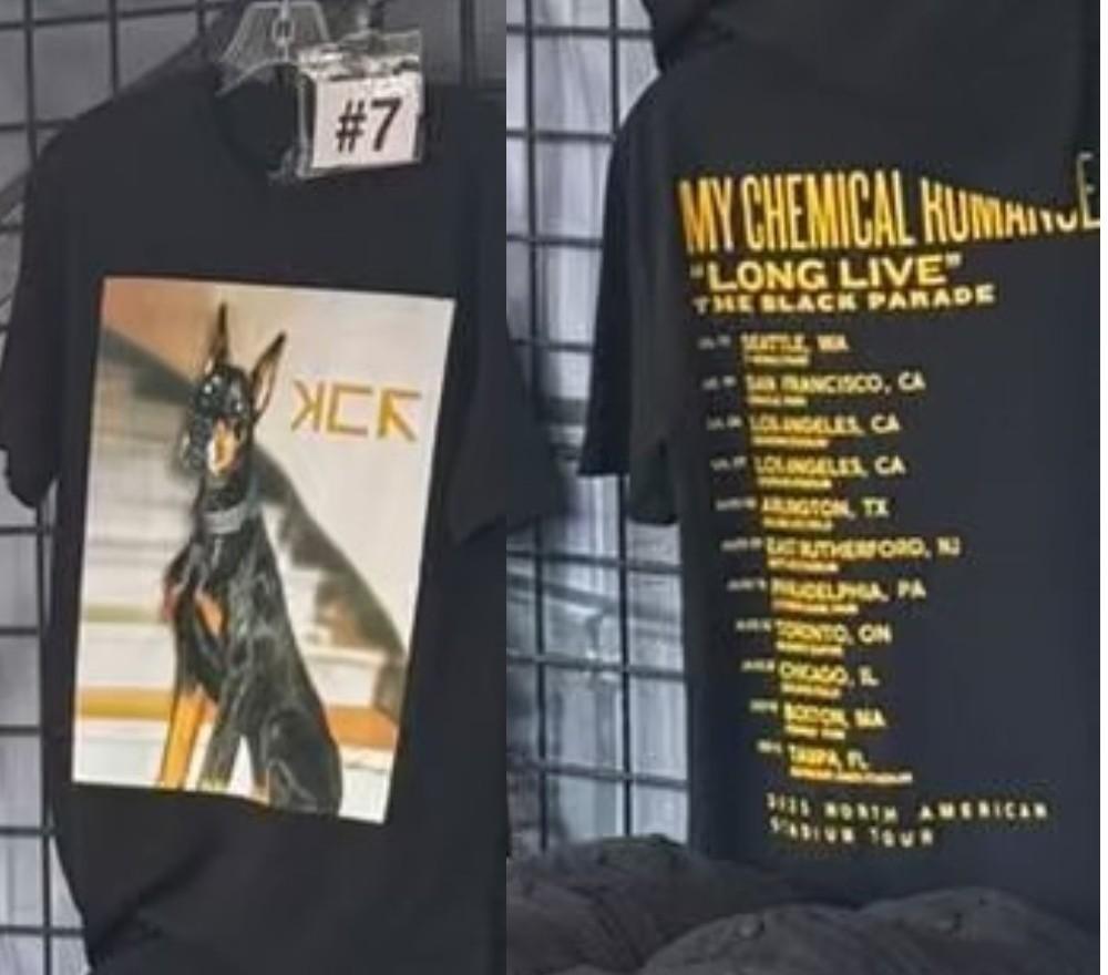 

My Chemical Romance The Black Parade Tour LA merch 2025 T-Shirt Size S-3XL XL