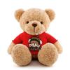 Bear Teddy Sweater Plush Toy Cartoon Stuffed Doll Decoration Kids Gifts Cute