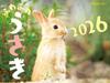 JTB Fluffy Rabbit 2026 Calendar (Wall Hanging/Monthly/Animal) (Calendar 2026)