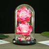 Large Two Glass Cover Rose Ornament, Creative Valentine's Day Gift, Luminous LED Light Simulation Flower