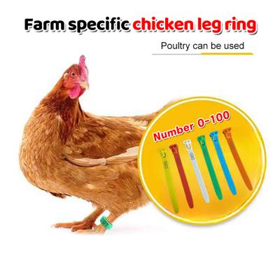 50/100Pcs Adjustable Chicken Foot Rings 5 Color Chicken Poultry Reusable Flexible Retractable Foot Straps Poultry Marking Cards