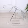 Transparent Long-Handle Umbrella with 16 Reinforced Ribs, Fresh Style, 8-Rib Transparent Umbrella, Fresh Sun Umbrella, Unisex Long-Handle