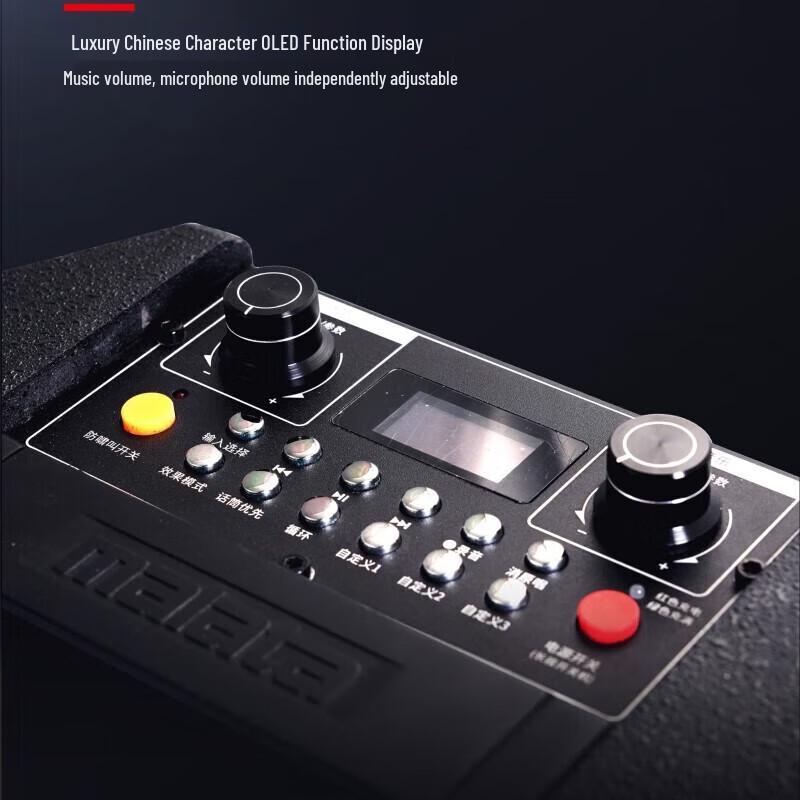 Malata M+9788A High-Power Portable Outdoor Speaker