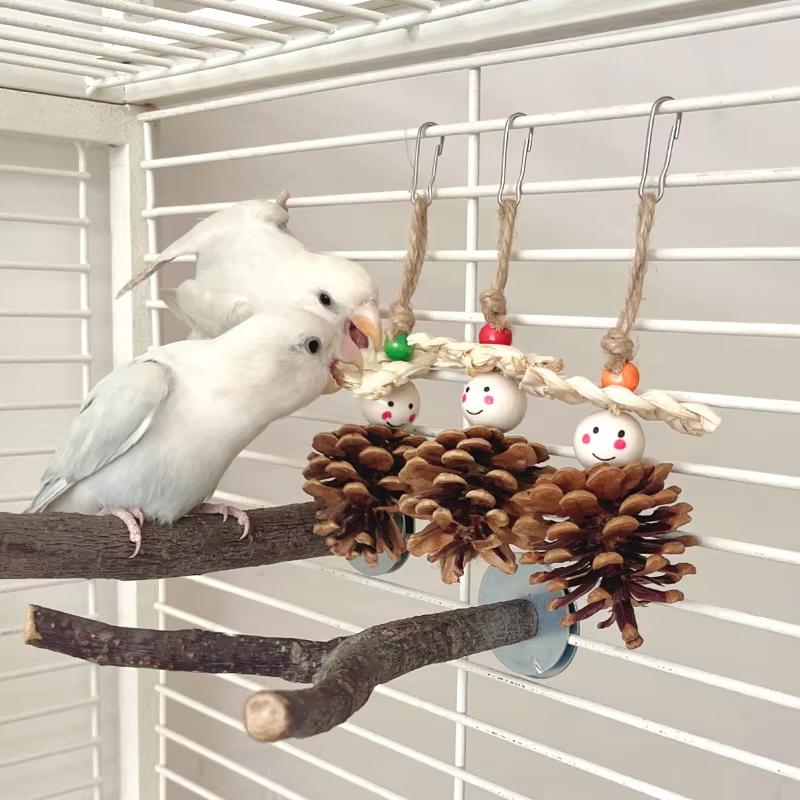 Natural Pinecone Chew Toy Cute Eco-Friendly Bird Beak Grinding Boredom Relief Ornament Bird Cage Decoration Pet