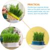 4pcs Cat Plant Convenient Planting Box Household Cat Grass Box Nursery Cat Plant (4 Colors)