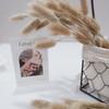 Small Reed Dried Flower Bouquet Small Whisk Small Pu Reed Reed Dried Flower Rabbittail