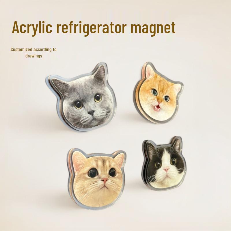 Custom 3D Acrylic Refrigerator Magnets with Photos of Pets, Kittens, and Dogs - High-End Soft Magnetic Design
