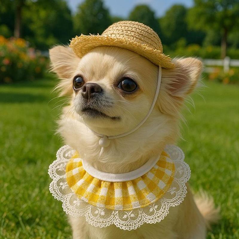 Porche Créatif Animal de Compagnie Chien Chat Costume Fait Main Paille Volaille Costume Chapeau Porter Corde Coupe-Vent Chiot Chapeau de Paille