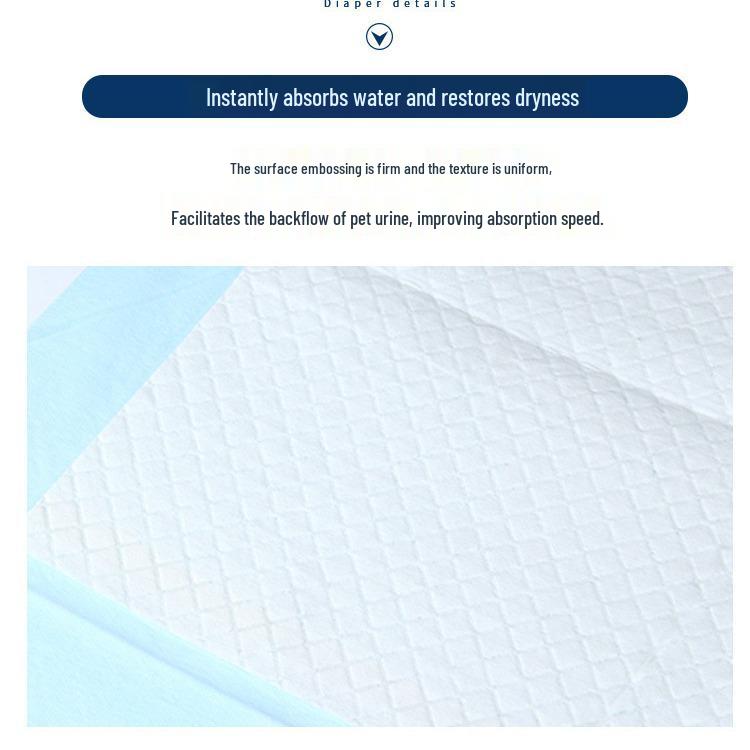 Thick, Quick-Absorb Pet Urine Pad for Training and Protection