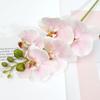 Flores de Orquídeas Artificiales Real Touch Flores Artificiales de Seda Falsa Flor Phalaenopsis Artificial con 5 Cabezas Florales para Decoración Interior del Hogar Mesa de Oficina