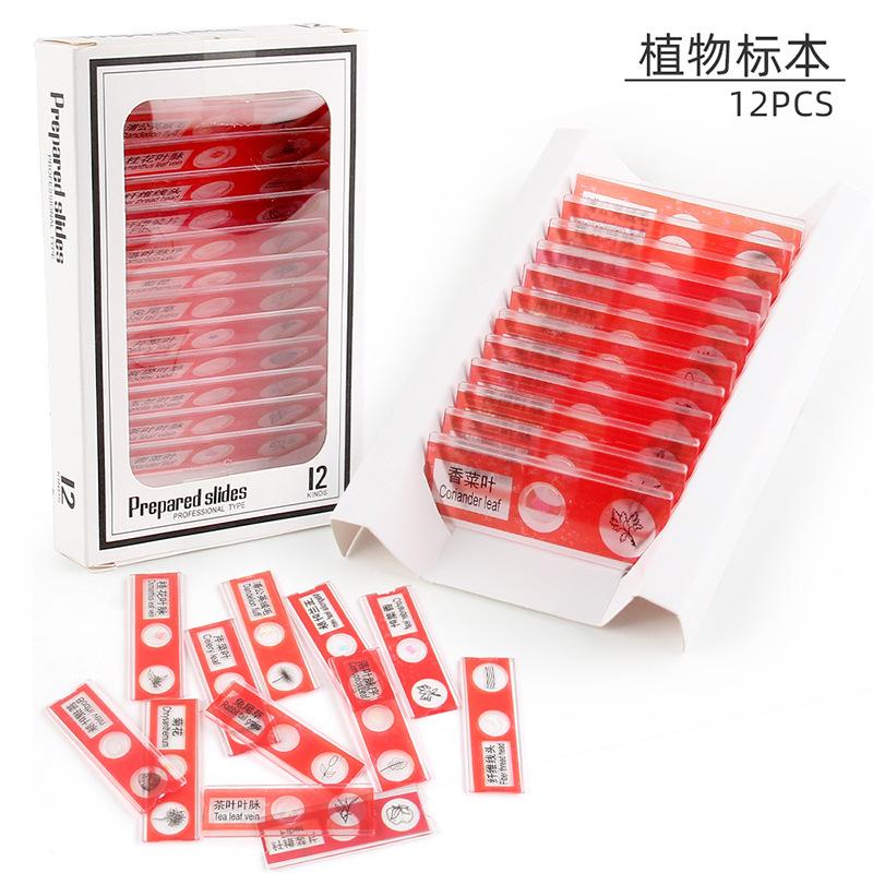 Children'S Microscope Animal Plant Insect Fruit And Vegetable 12Pcs Biological Specimen Set Scientific Experiment Toy Accessories