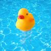 Cute Duck Floating Pool Dispenser Thermometer Kit Outdoor Pools Cleaning