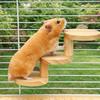 Bite Resistant Platform Jumping Board Scratching Surface Small Pets Stairs  Pet Cage