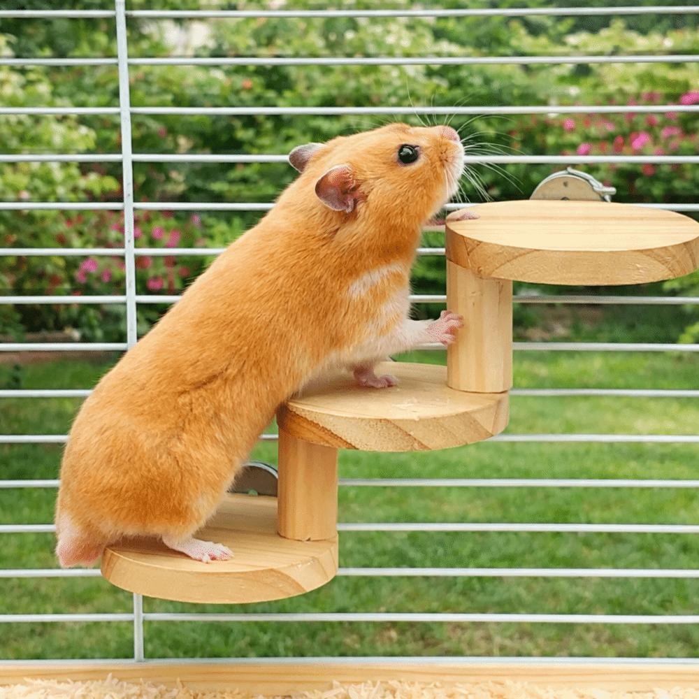 Bite Resistant Platform Jumping Board Scratching Surface Small Pets Stairs  Pet Cage