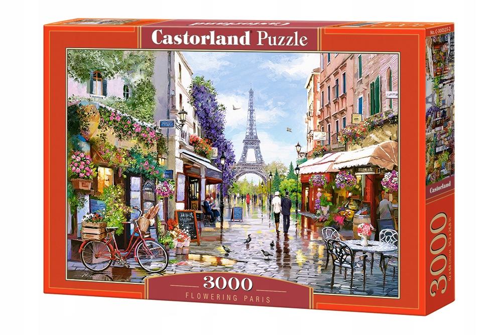 Puzzle 3000 Pieces C-300525-2 Flowering Paris