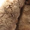 OLD 90s Leather Jacket 9 Beige Boa Fur Lining Women Used